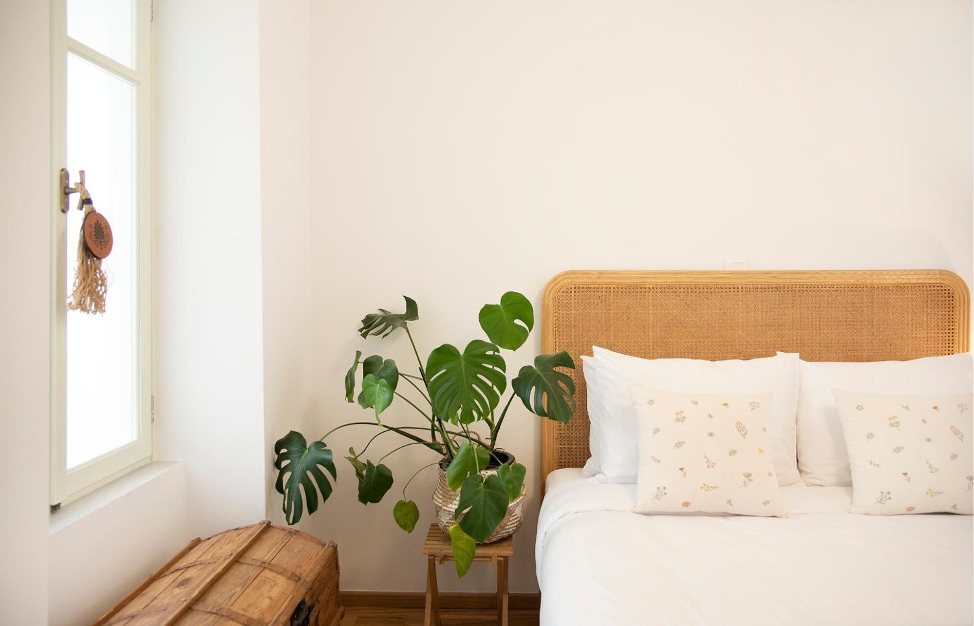 Chora Aegina'S Apartments 外观 照片